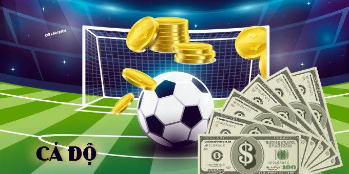 Trải nghiệm Free Fire thử nghiệm APK mới nhất với nhiều tính năng hấp dẫn